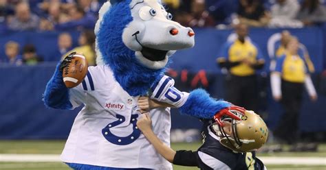 Fan Reactions: What the Indianapolis Colts' Green Horse Mascot Means to Supporters